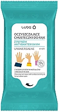 Парфумерія, косметика Вологі серветки антибактеріальні з екстрактом шавлії - Luba Wipes