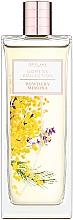 Oriflame Women's Collection Powdery Mimosa - Туалетная вода — фото N1
