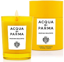 Парфумерія, косметика Acqua Di Parma Profumi Dell'orto - Ароматична свічка