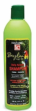 Парфумерія, косметика Шампунь для волосся з кератином - Fantasia IC Brazilian Hair Oil Daily Keratin Shampoo