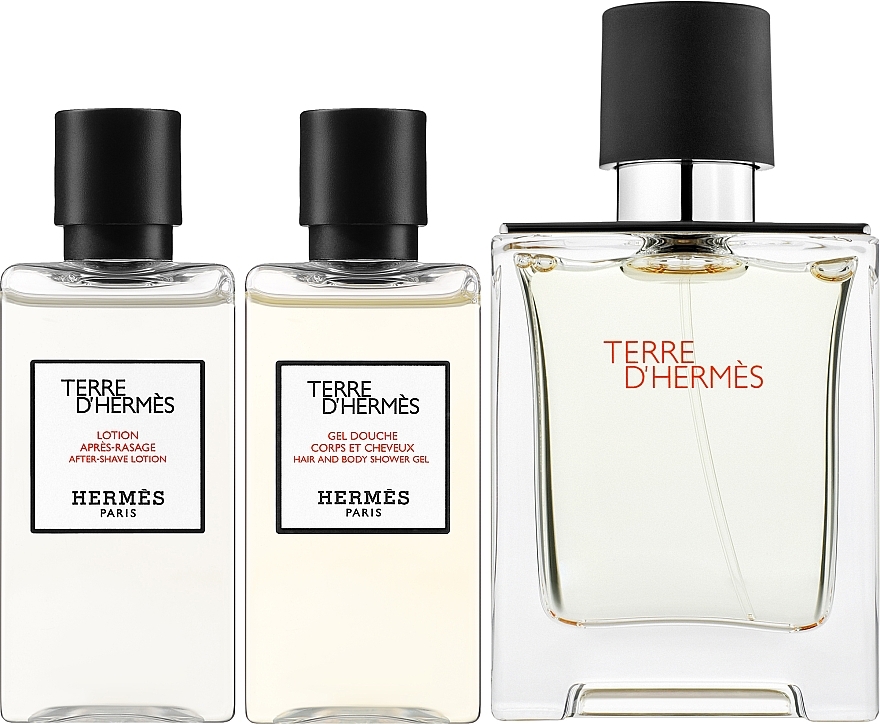 Hermes Terre d’Hermes - Набор (edt/50ml + sh/gel/40ml + ash/balm/40ml) — фото N2