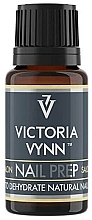 Парфумерія, косметика Рідина для знежирення натуральної нігтьової пластини - Victoria Vynn Salon Nail Prep