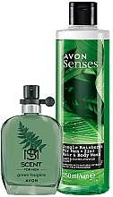 Avon Scent For Men Green Fougere - Набор (edt/30ml + sh/gel/250ml) — фото N1