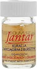 Засіб для надмірно пошкодженого волосся - Farmona Jantar Hair Treatment with Amber Extract — фото N3