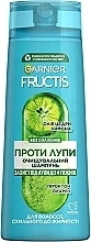 Очищувальний шампунь проти лупи для волосся, схильного до жирності - Garnier Fructis Shampoo Anti-dandruff — фото N1