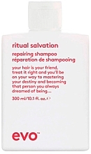 Парфумерія, косметика Шампунь для фарбованого волосся - Evo Ritual Salvation Repairing Shampoo