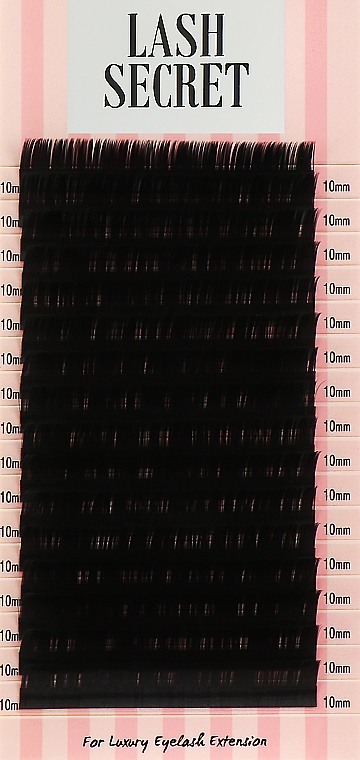 Накладні вії, чорні, 16 ліній (один розмір, 0,05, C, 10) - Lash Secret — фото N1