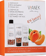 Парфумерія, косметика Набір для догляду за обличчям - Vianek (miccelar/water/200ml + f/cr/50ml + f/mask/75ml)