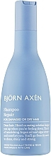 Відновлювальний шампунь для сухого та пошкодженого волосся - BjOrn AxEn Repair Shampoo — фото N2