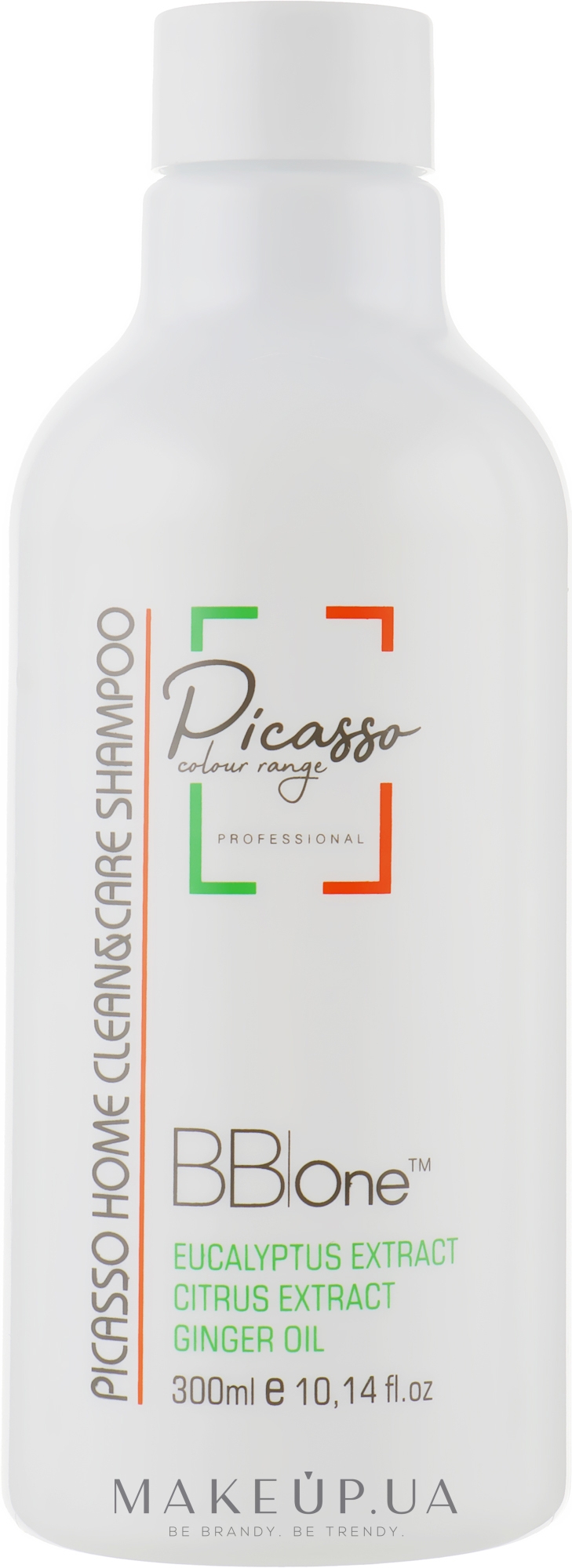 Очищающий шампунь для волос - BB One Picasso Home Clean & Care Shampoo — фото 300ml
