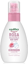 Дезодорант-спрей "Роза" с гиалуроновой кислотой - Equilibra Rosa Deodorant Spray — фото N1