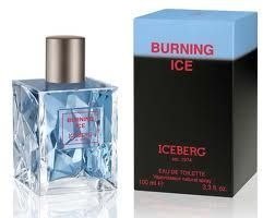 Духи, Парфюмерия, косметика Iceberg Burning Ice - Туалетная вода (пробник)