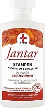 Парфумерія, косметика Шампунь для пошкодженого волосся - Farmona Jantar Medica Shampoo With Amber Extract