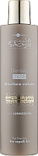 Духи, Парфюмерия, косметика Маска для объема волос - Hair Company Inimitable Style Density Mask