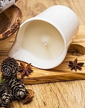 Свеча для массажа с маслом Ши "Бамбук" - Organique Care Ritual Massage Candle Bamboo (с ручкой) — фото N4