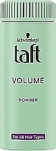 УЦЕНКА Стайлинг-пудра для волос "Объем" - Taft True Volume 3 * — фото N1