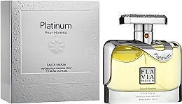 Flavia Platinum Pour Homme - Парфумована вода — фото N1
